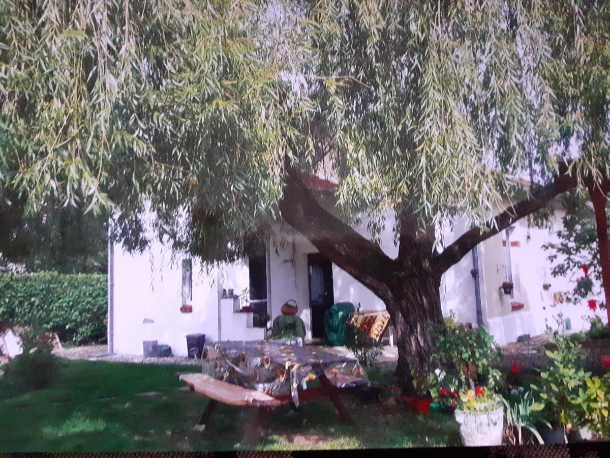Hotel Peti Kaz Saint-Seurin-sur-l'Isle Zewnętrze zdjęcie